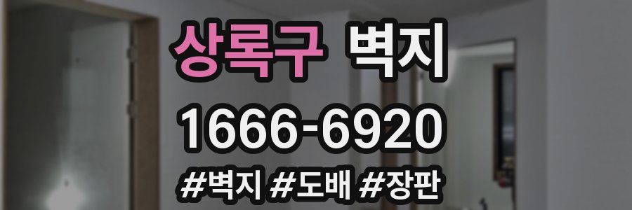 상록구 벽지