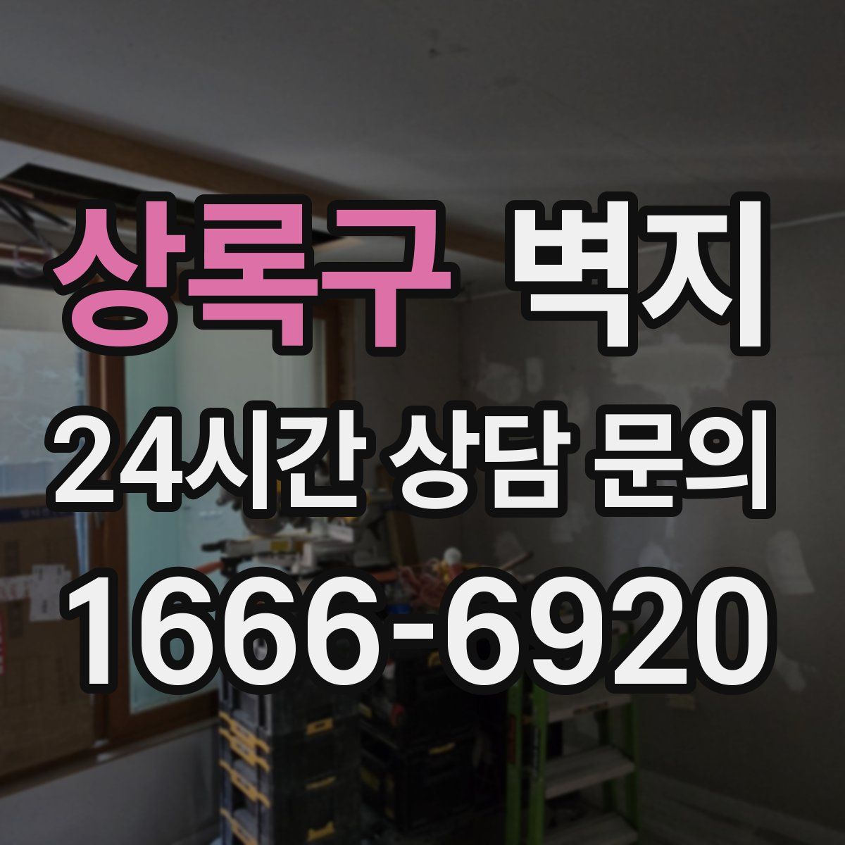 상록구 벽지