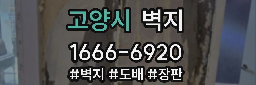 고양시 벽지