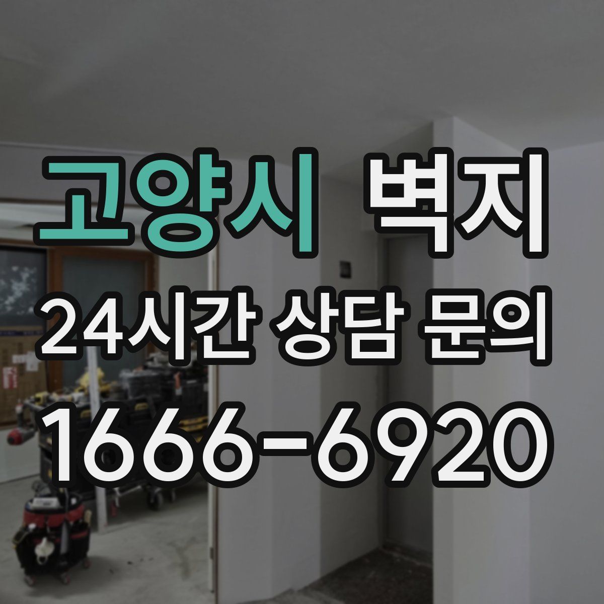 고양시 벽지