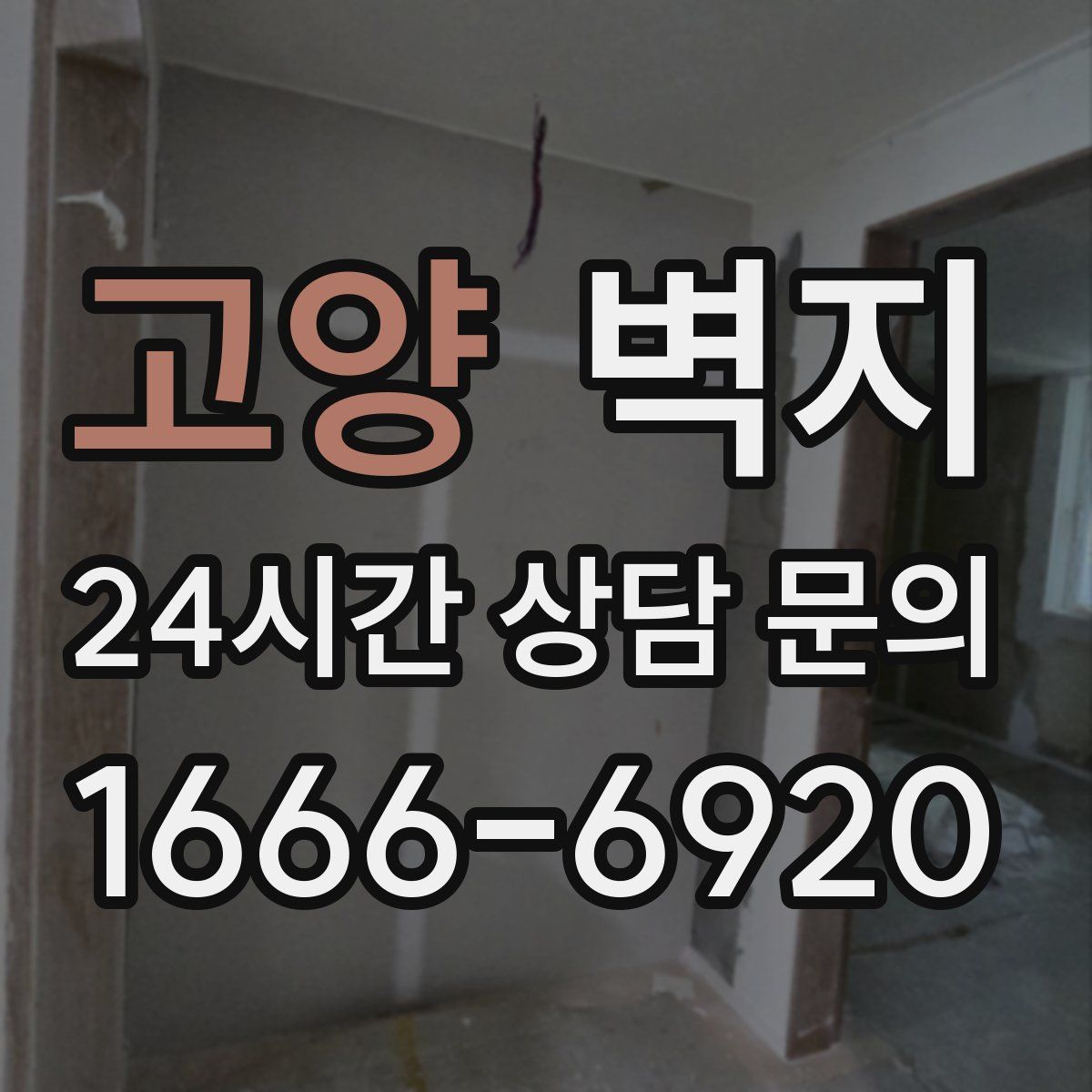 고양 벽지