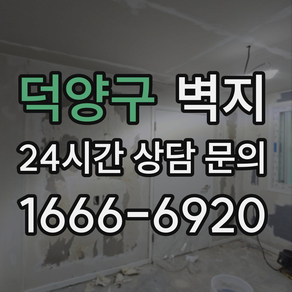 덕양구 벽지