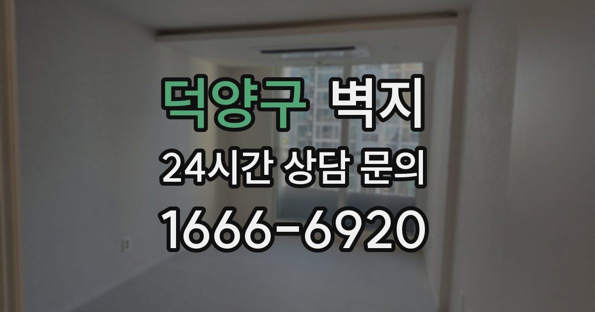 덕양구 벽지