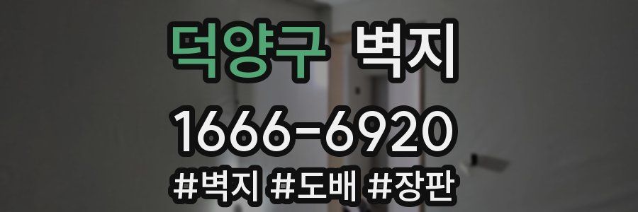 덕양구 벽지