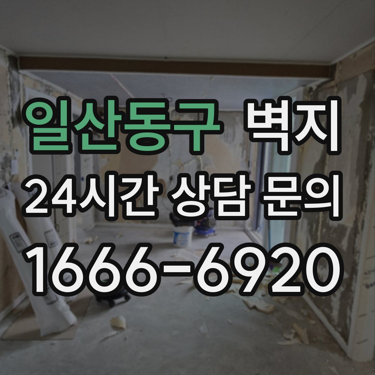 일산동구 벽지