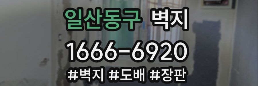 일산동구 벽지