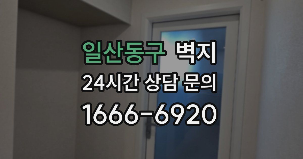 일산동구 벽지