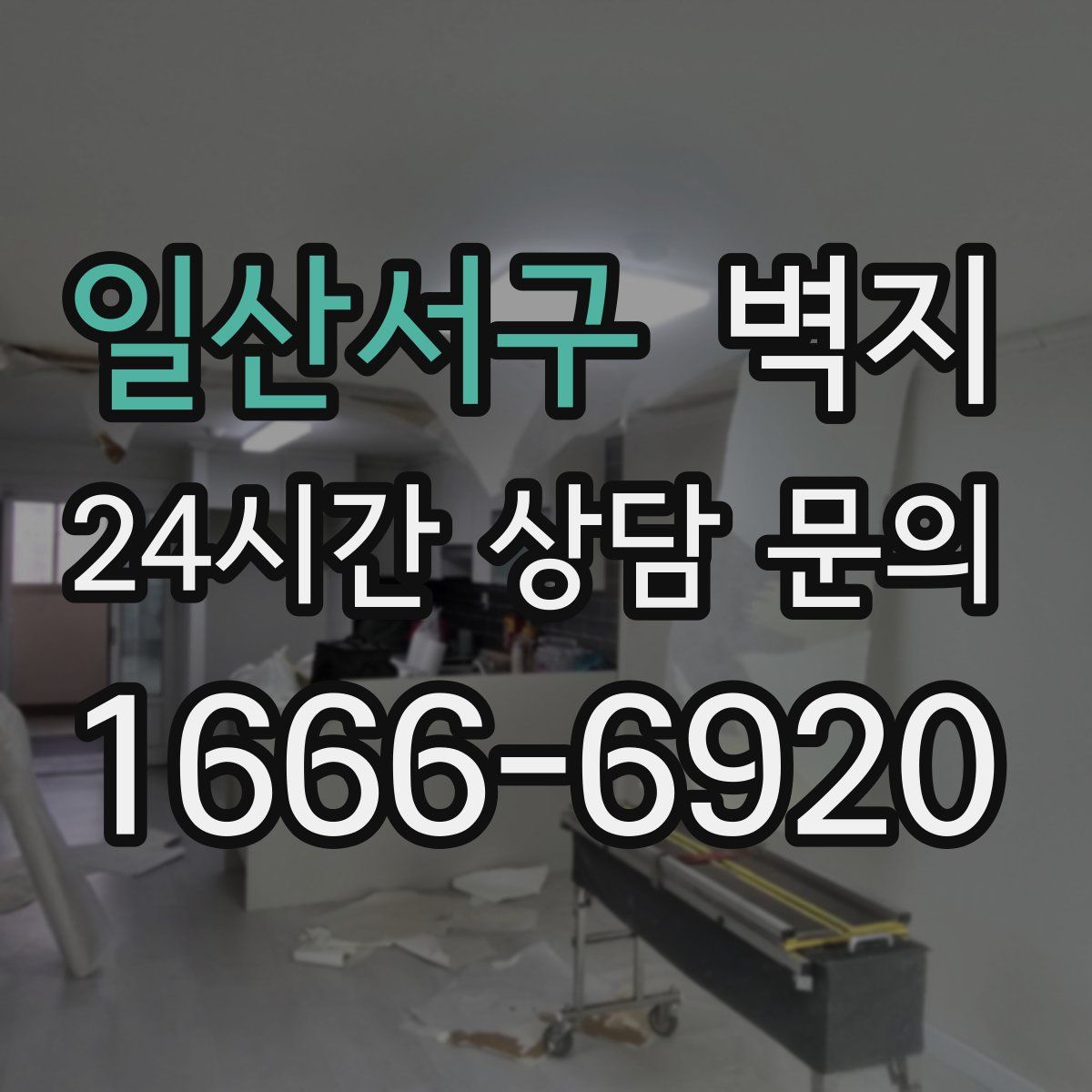 일산서구 벽지