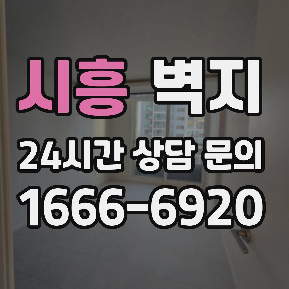 시흥 벽지
