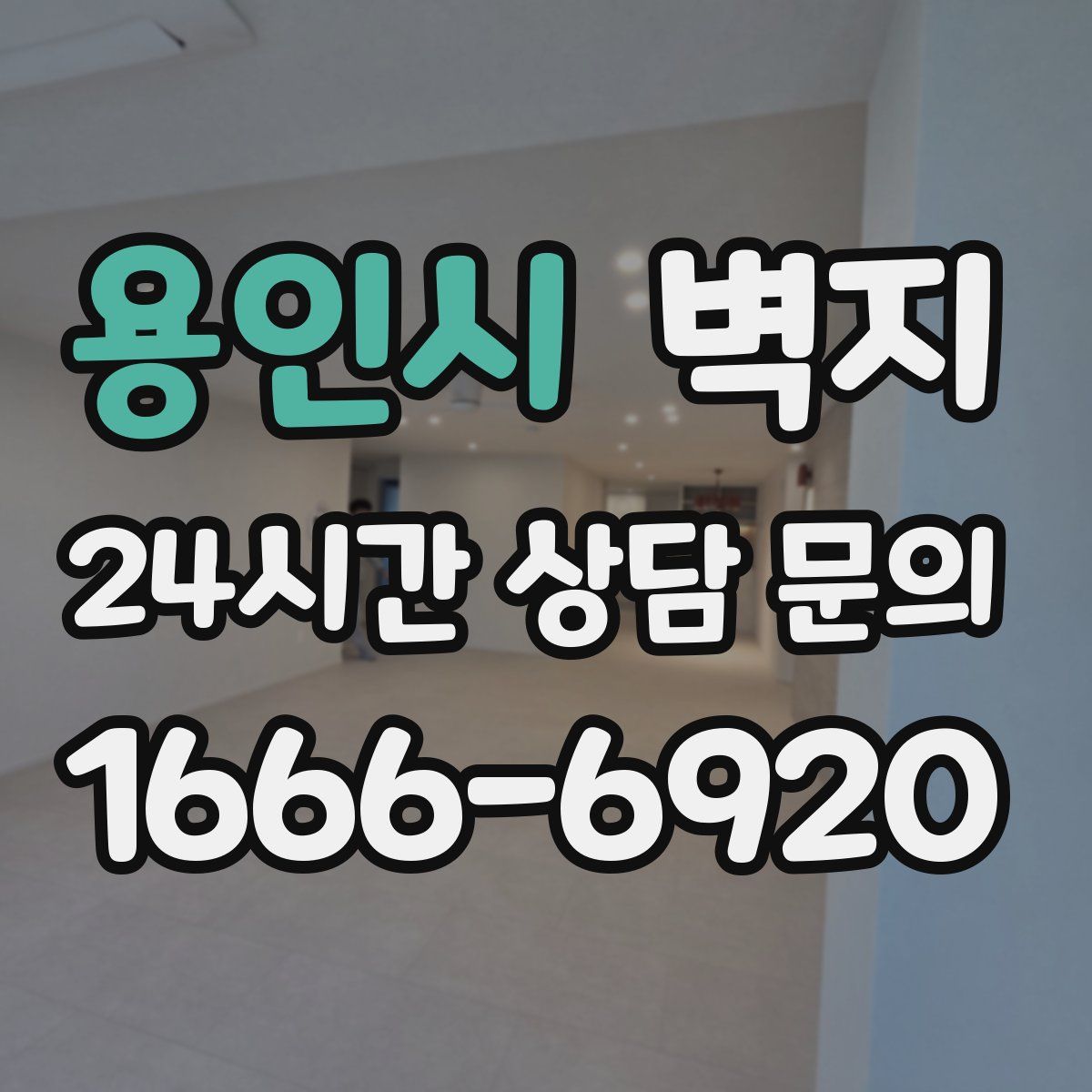 용인시 벽지