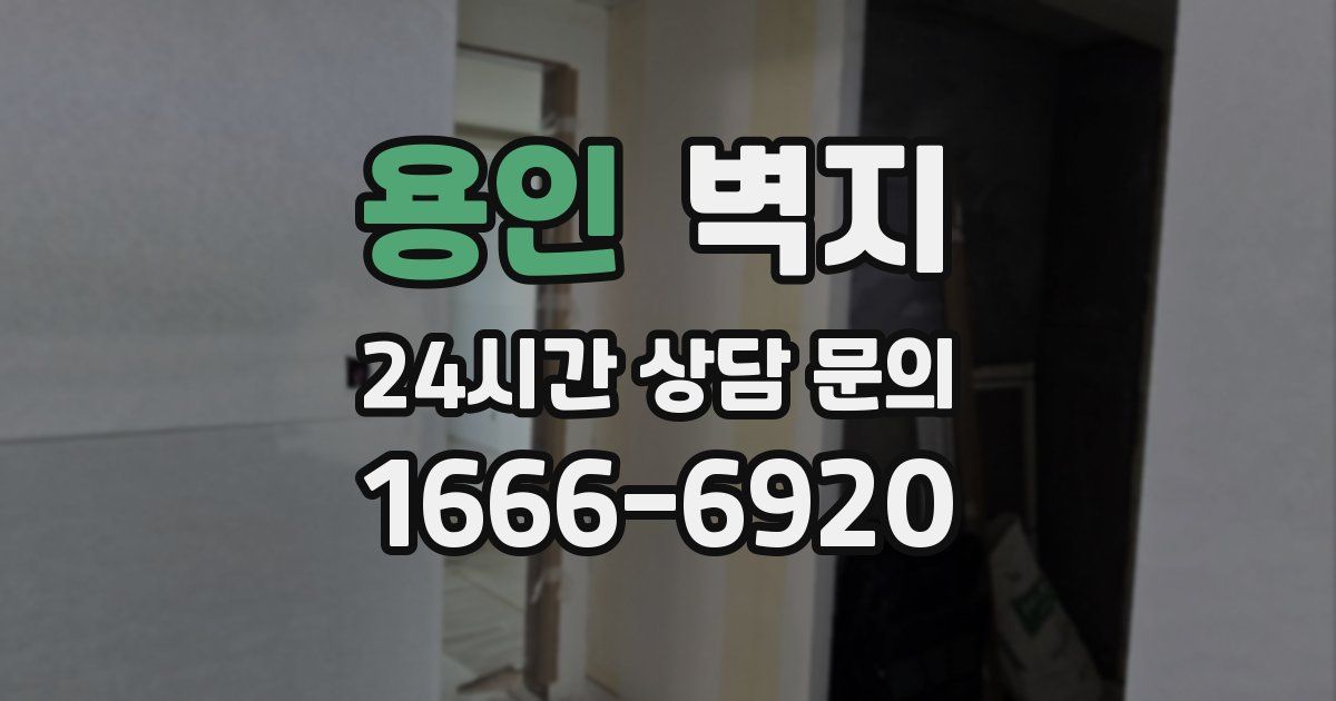 용인 벽지