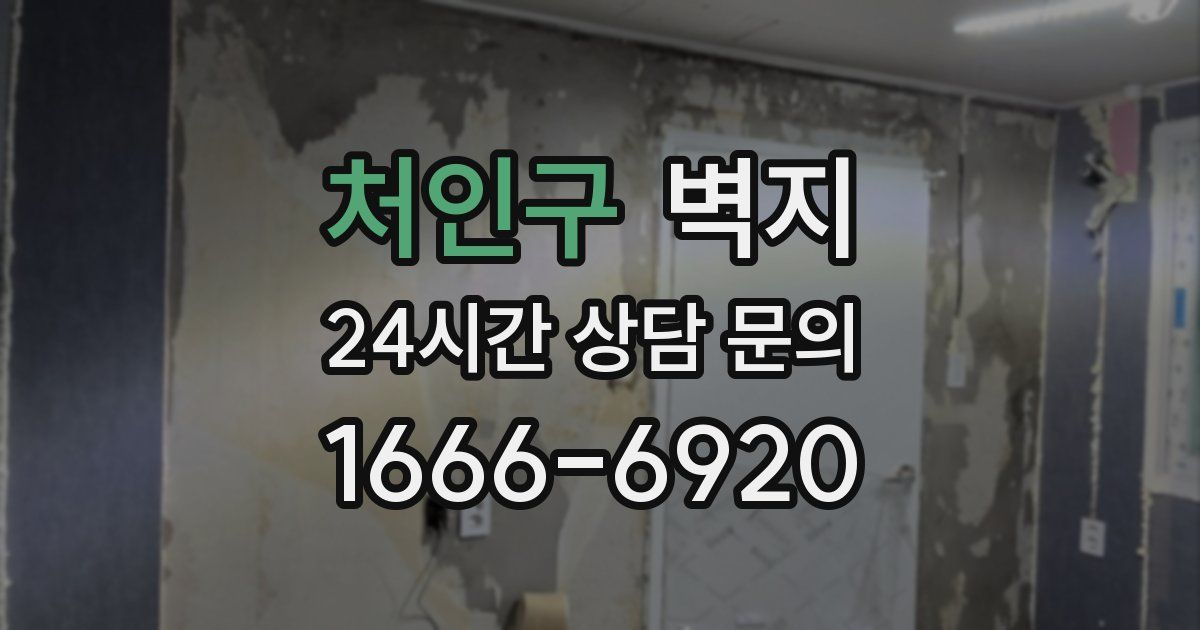 처인구 벽지