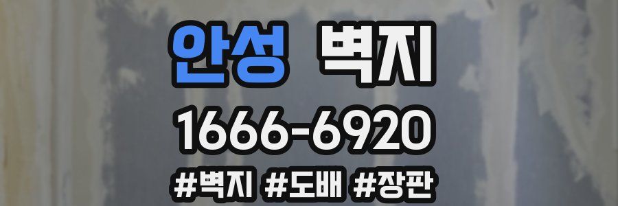 안성 벽지
