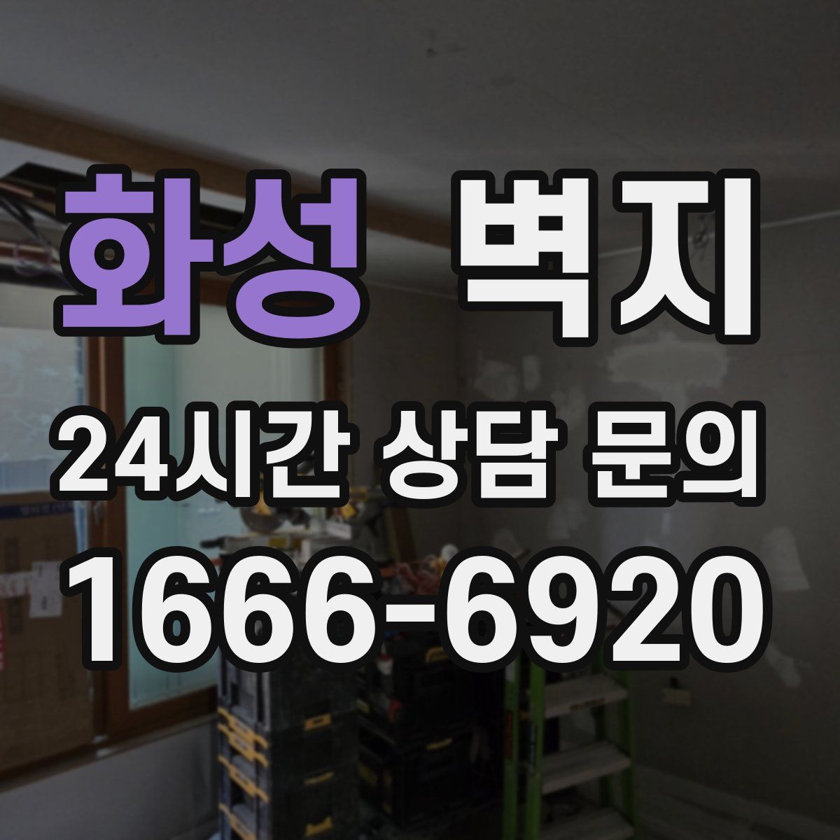 화성 벽지