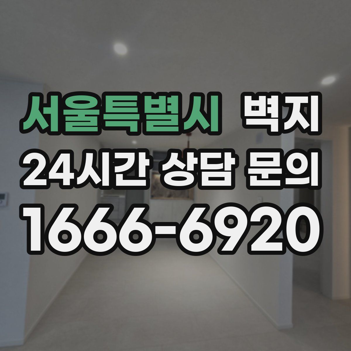 서울특별시 벽지