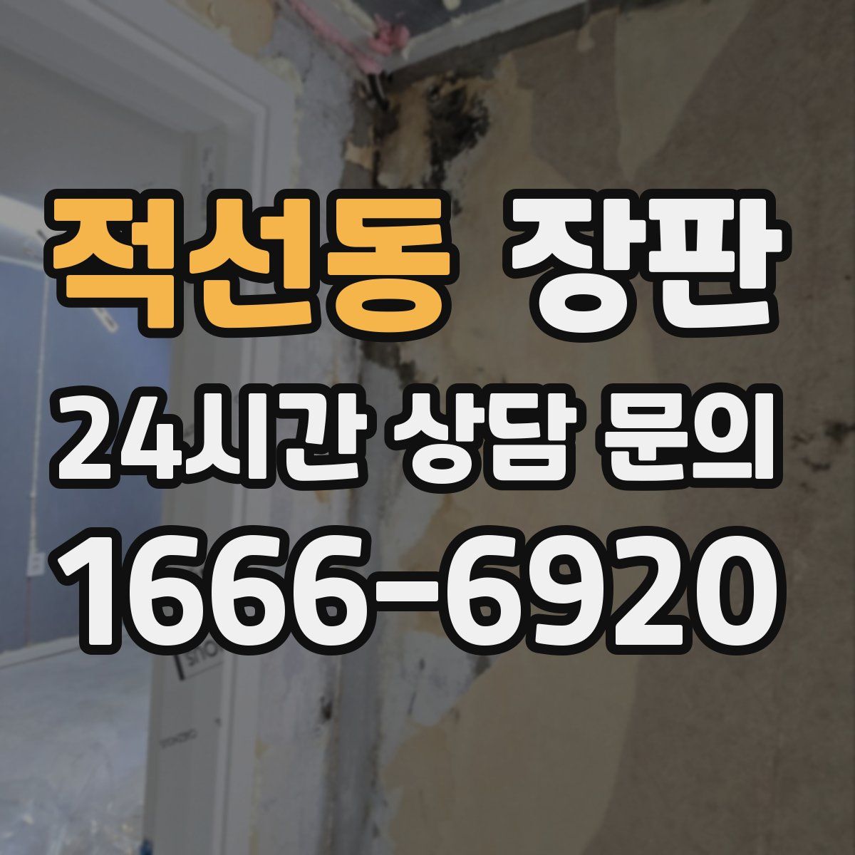 적선동 장판