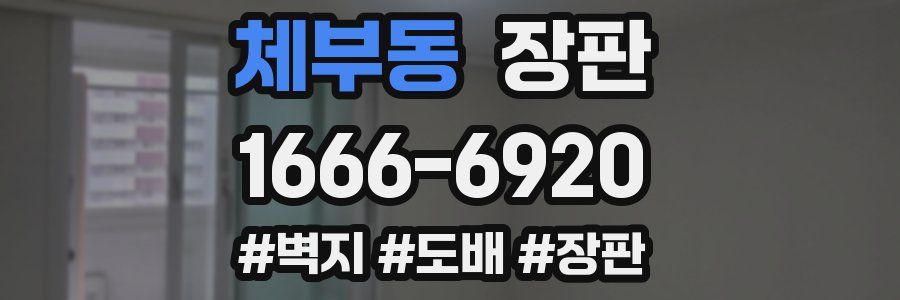 체부동 장판