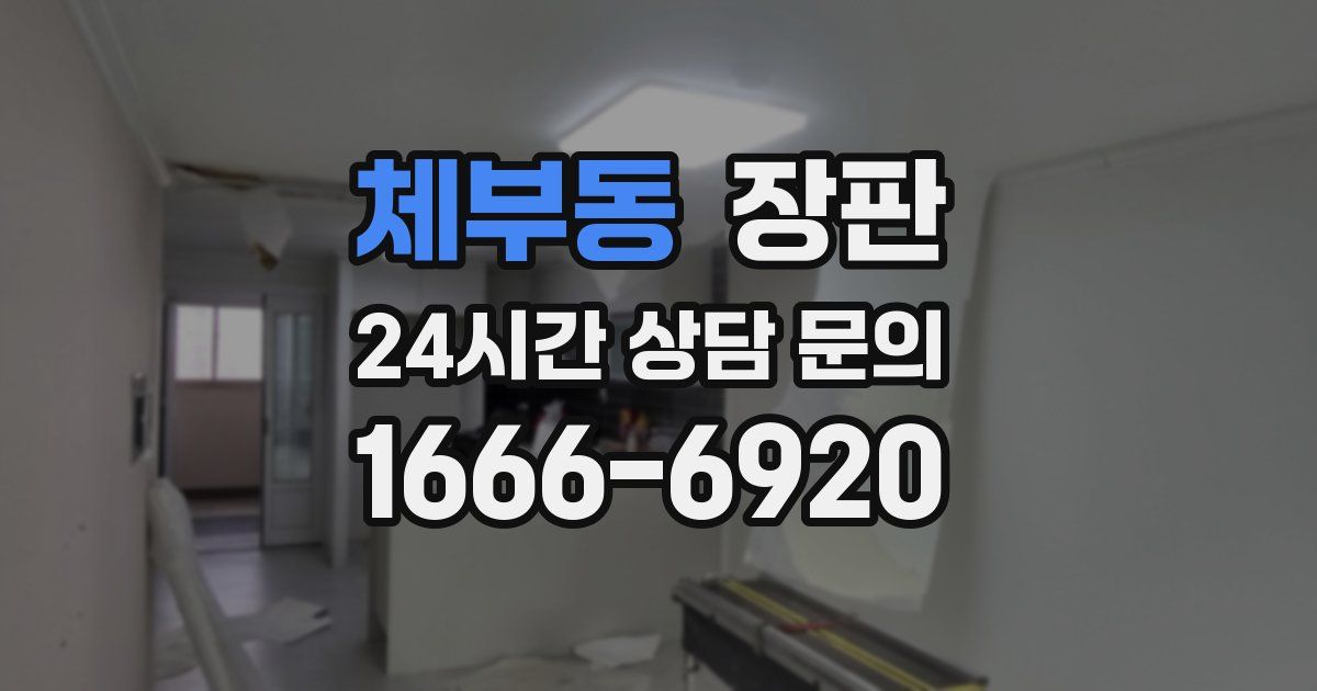 체부동 장판