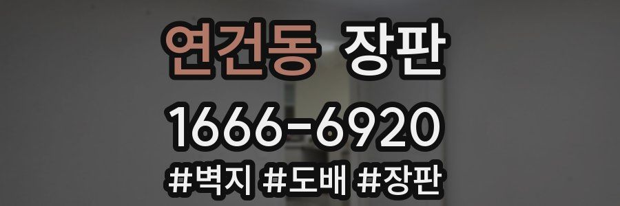 연건동 장판