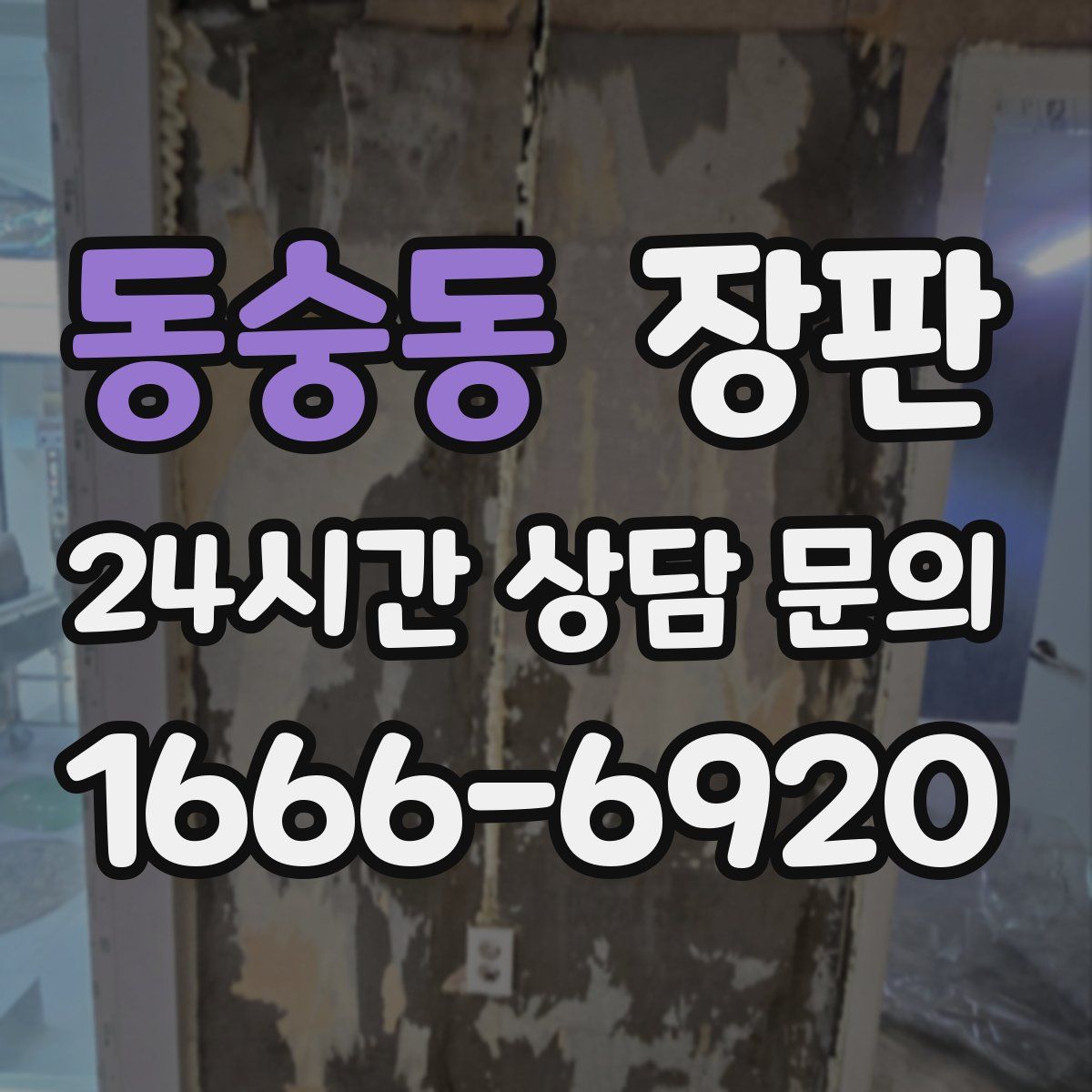 동숭동 장판