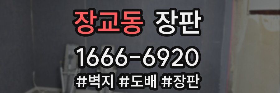장교동 장판