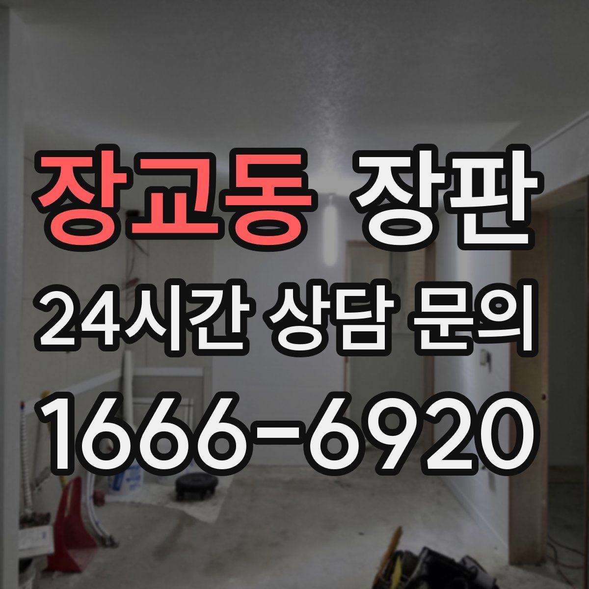 장교동 장판