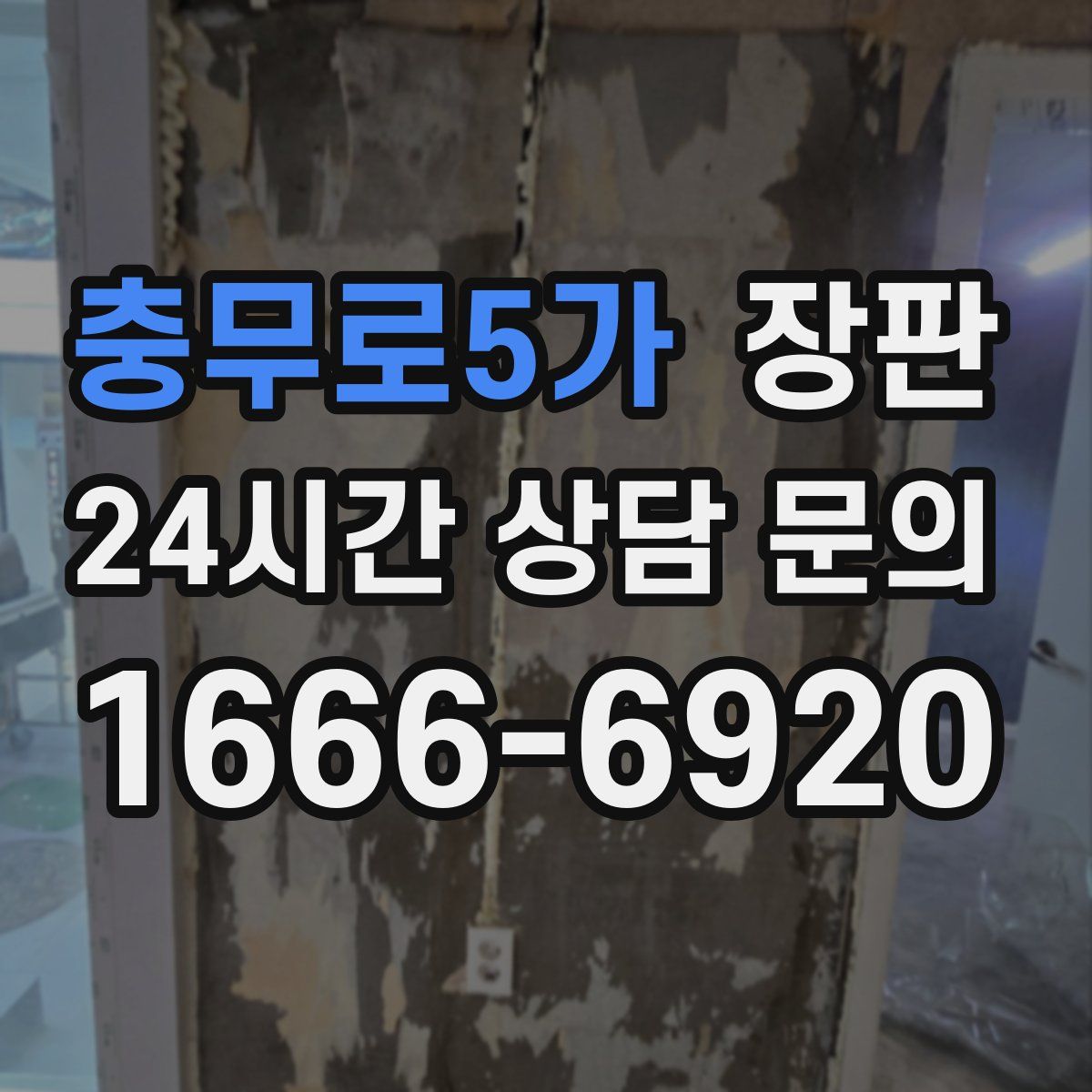 충무로5가 장판