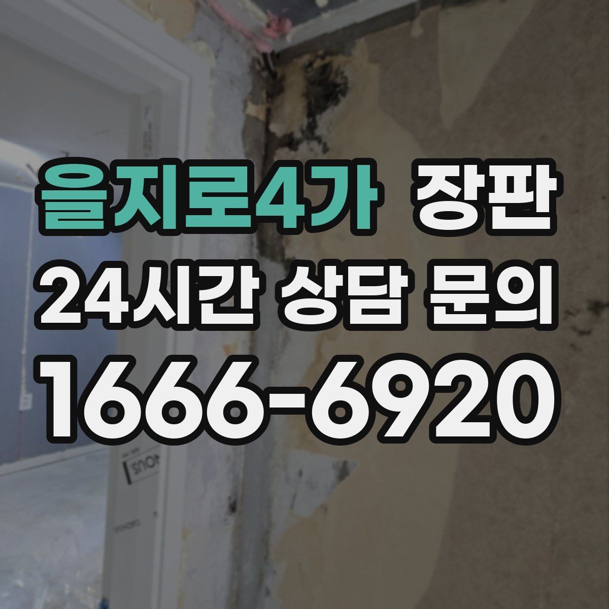 을지로4가 장판