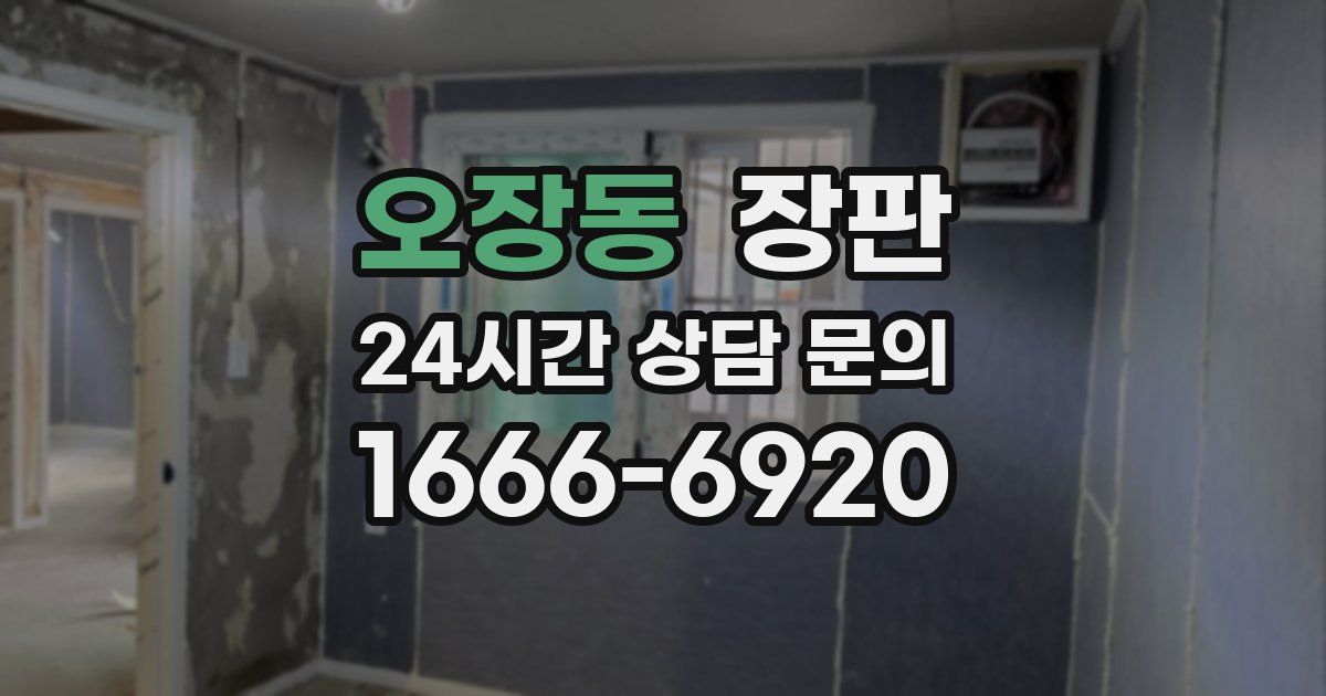 오장동 장판