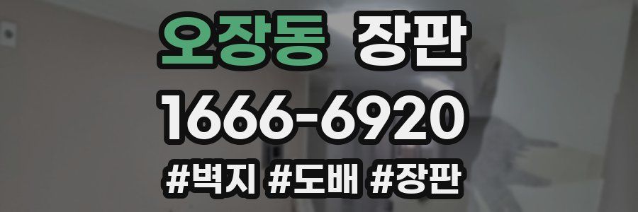 오장동 장판
