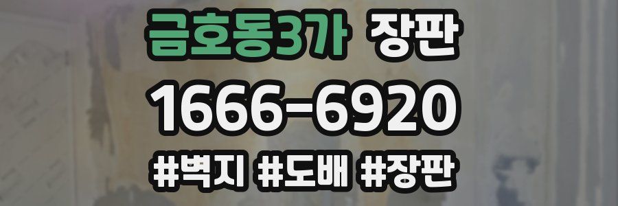 금호동3가 장판
