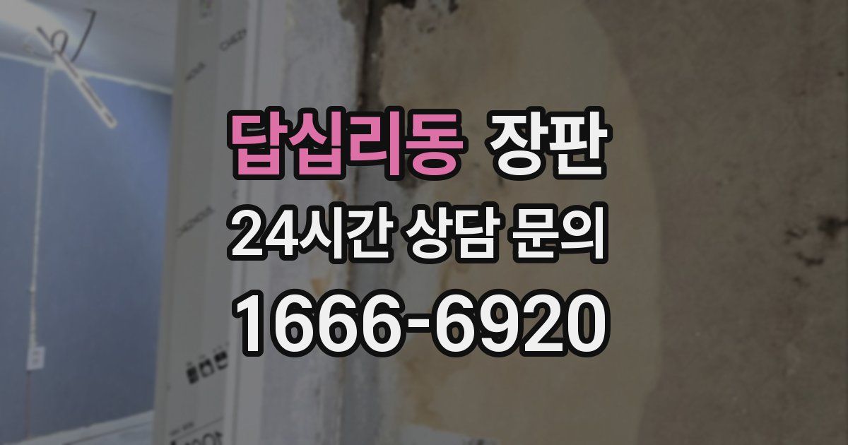 답십리동 장판
