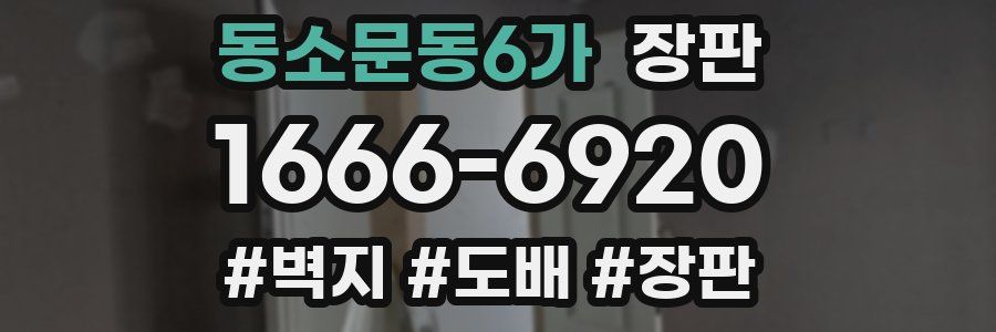 동소문동6가 장판
