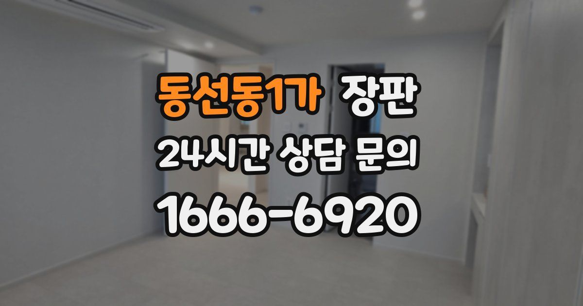 동선동1가 장판