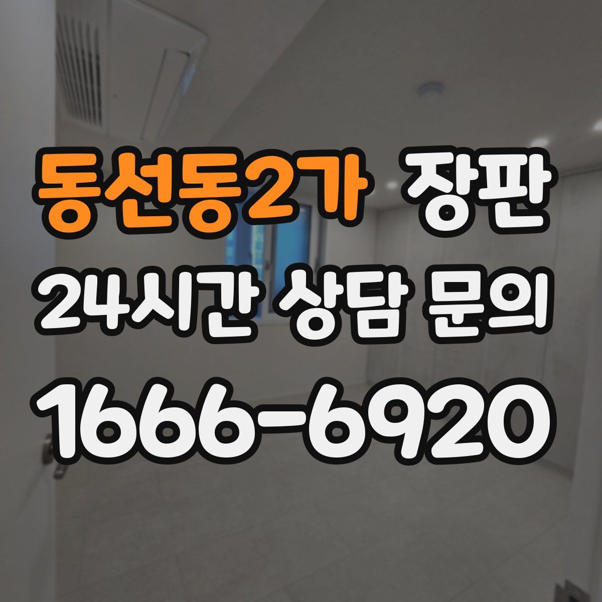 동선동2가 장판