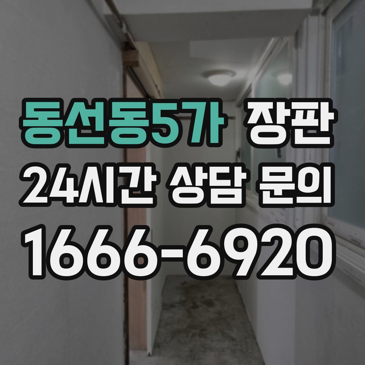 동선동5가 장판