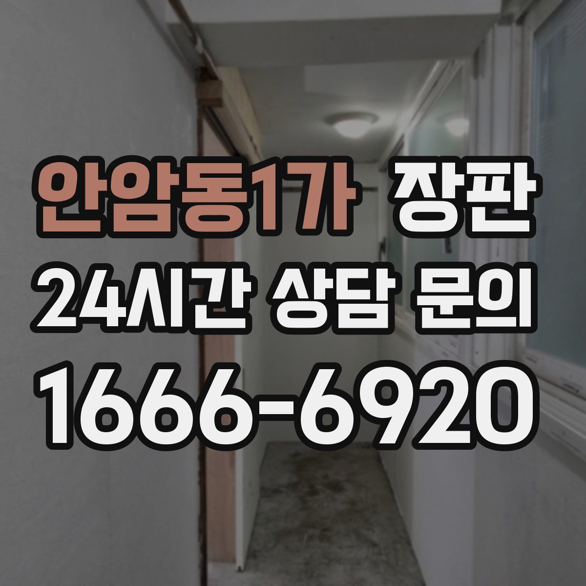 안암동1가 장판