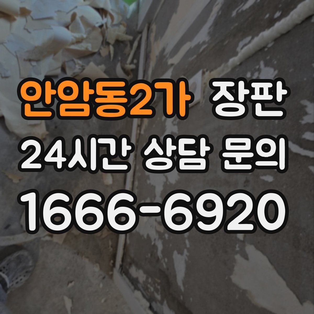 안암동2가 장판