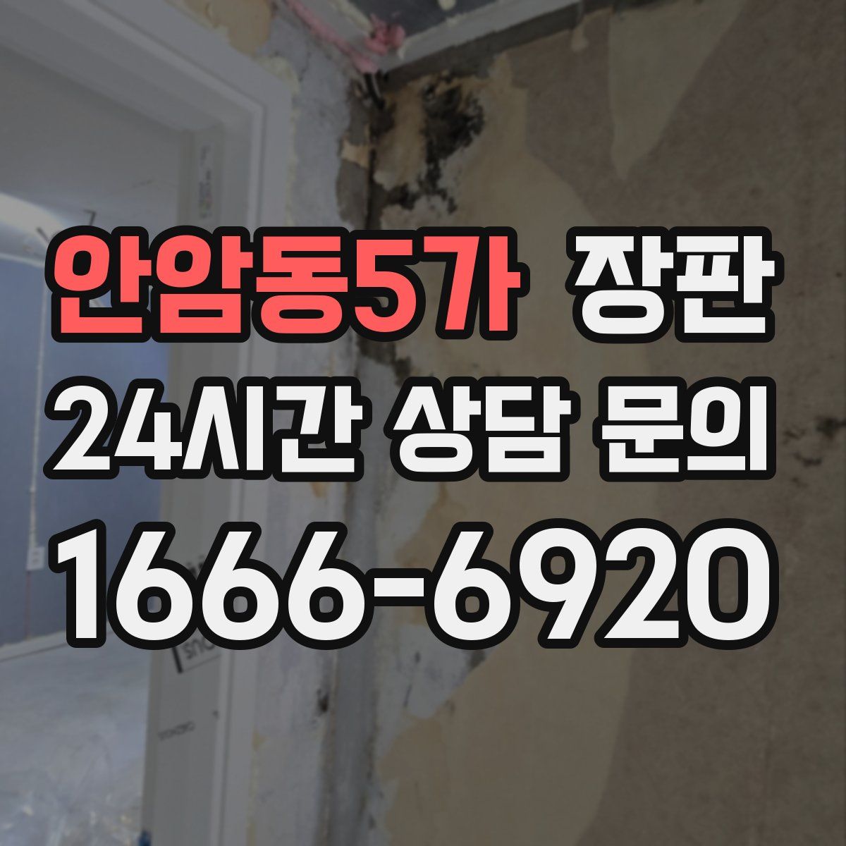 안암동5가 장판