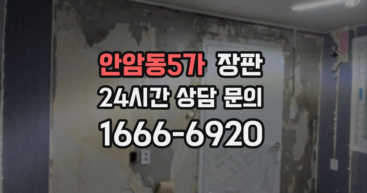 안암동5가 장판