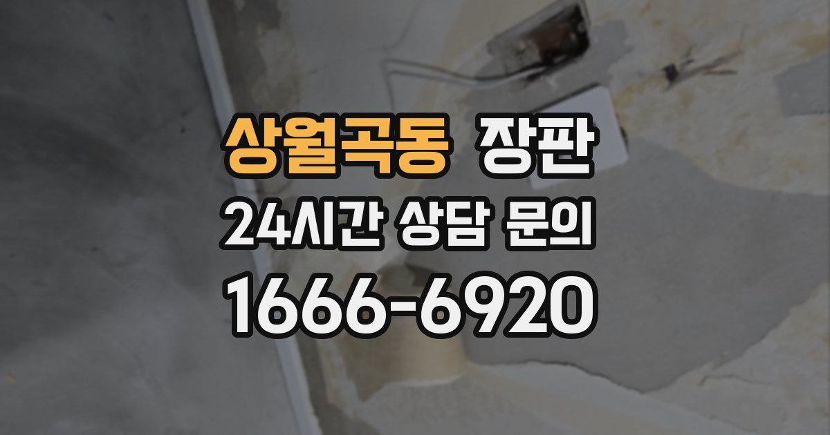 상월곡동 장판