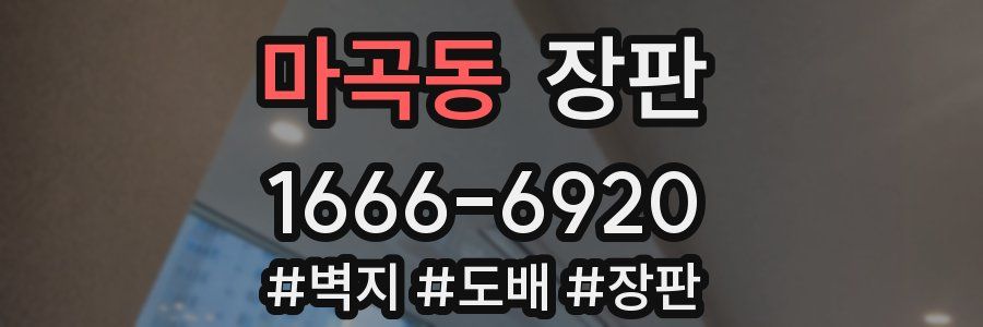 마곡동 장판