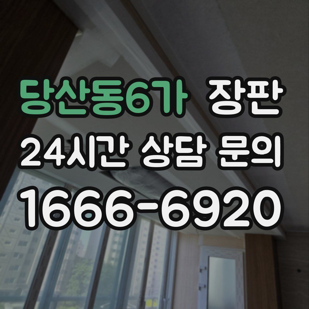 당산동6가 장판