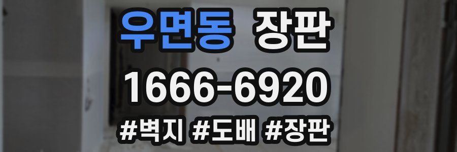 우면동 장판
