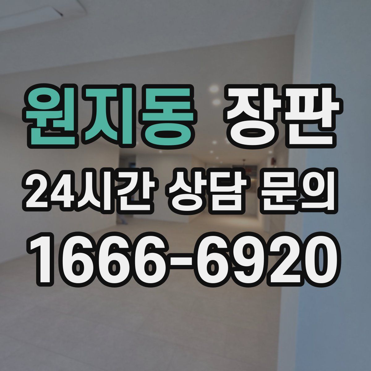 원지동 장판
