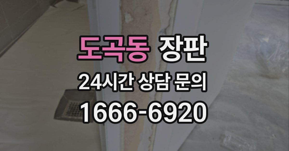 도곡동 장판