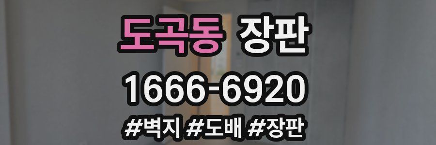 도곡동 장판