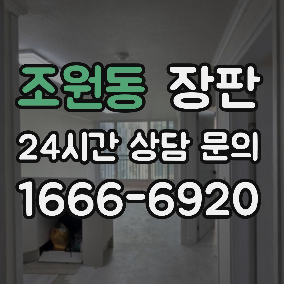 조원동 장판