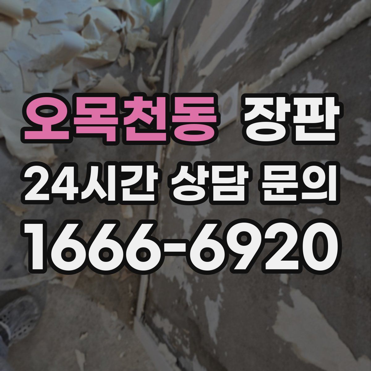 오목천동 장판