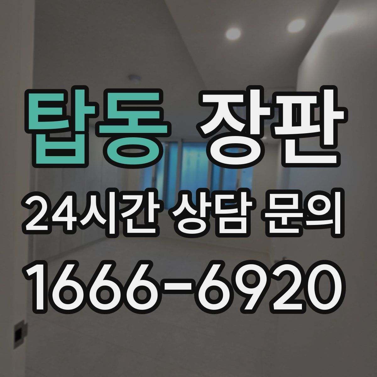 탑동 장판